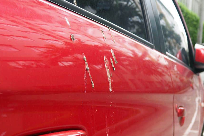 How to Remove Paint Stains from Car 